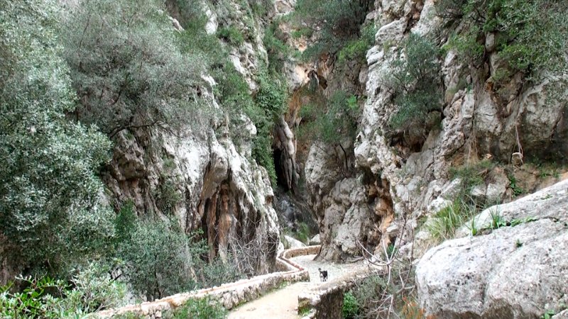 Still 52.jpg - Barranc